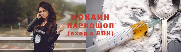 прущий лед Алзамай