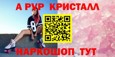 спиды Донской